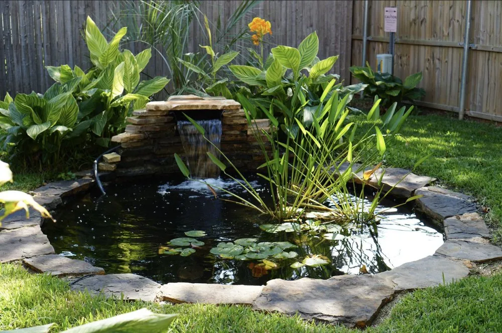 Expert yard maintenance in Grapevine, TX - Everett Landscaping