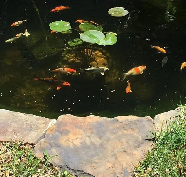 Top-rated landscape installation in Grapevine, TX by Everett Landscaping