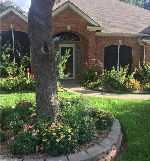 Local yard cleanup service in Grapevine, TX - Everett Landscaping