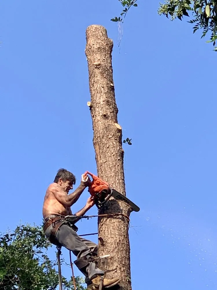 Custom landscape installation in Phenix City, AL by Everett Long & Sons