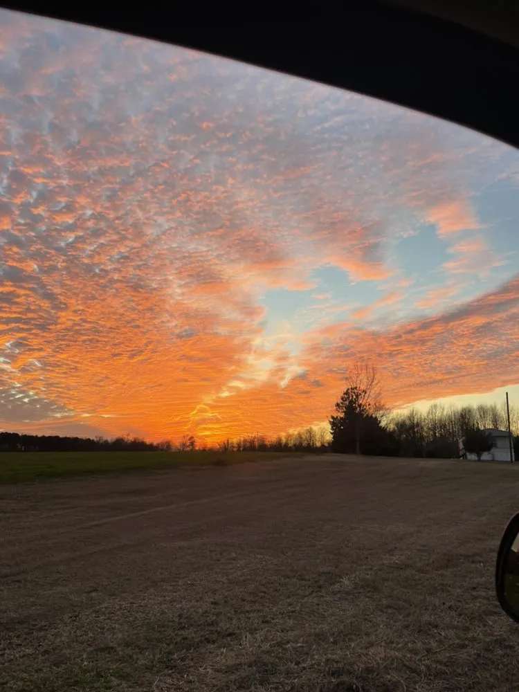 Reliable outdoor landscaping for outdoor upgrades in Snow Hill, NC by Everette’s Landscaping & Lawn Care