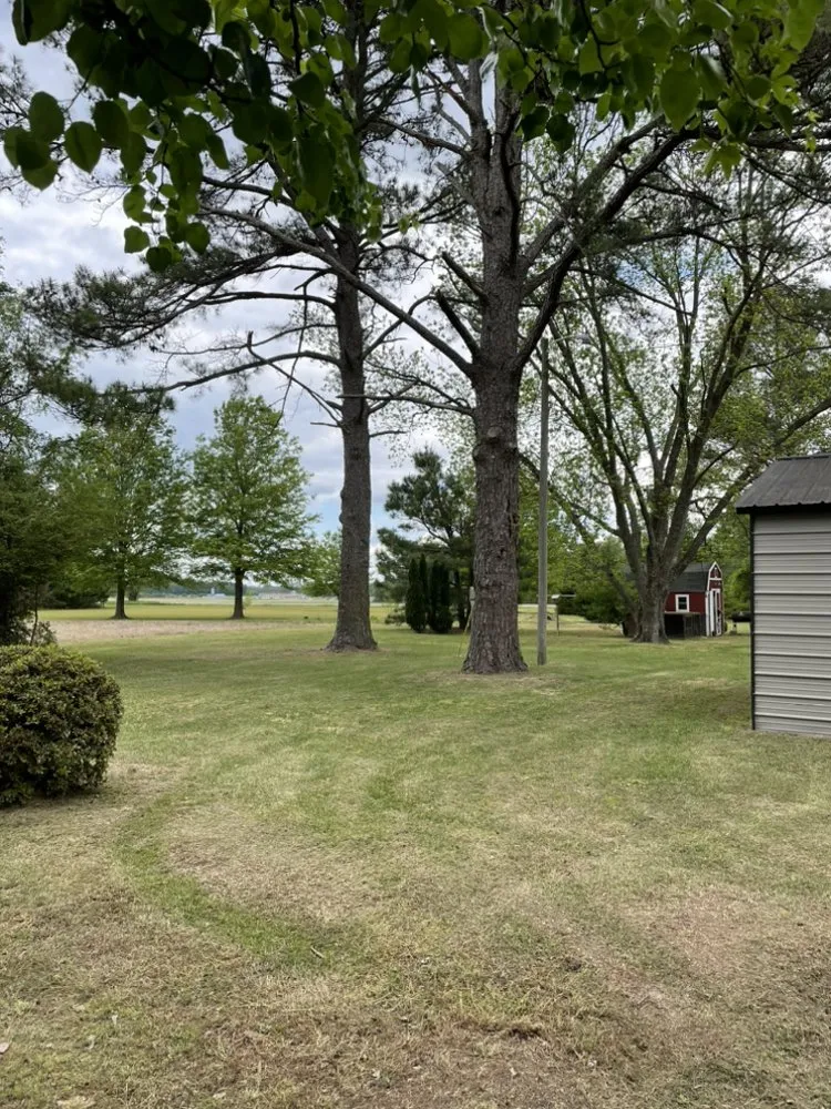 Reliable lawn mowing service in Snow Hill, NC - Everette’s Landscaping & Lawn Care