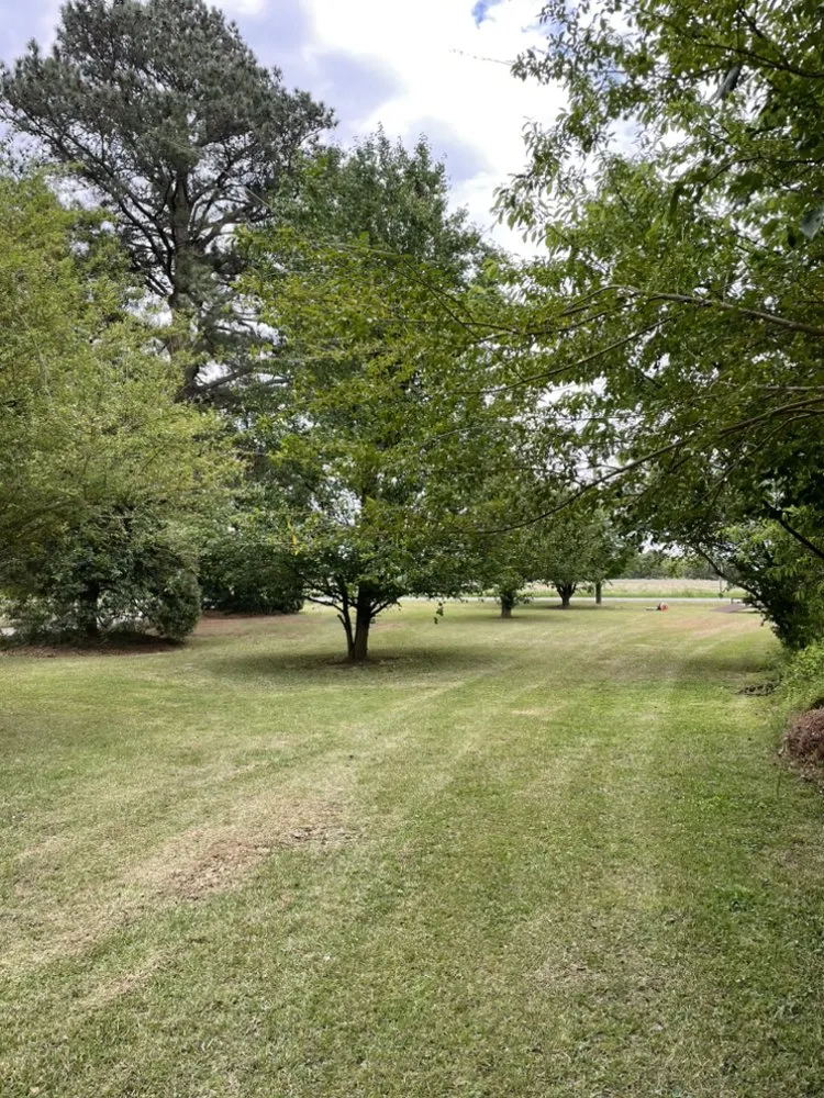 Custom garden landscaping with custom design in Snow Hill, NC by Everette’s Landscaping & Lawn Care