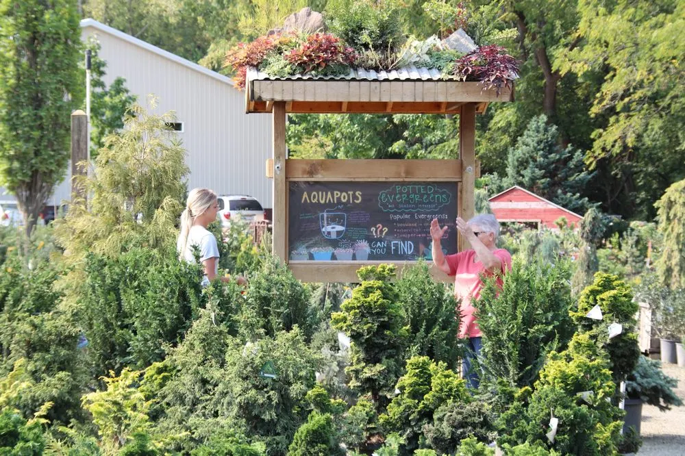 Professional yard maintenance for beautiful yards in Byron Center, MI by Everett's Gardens