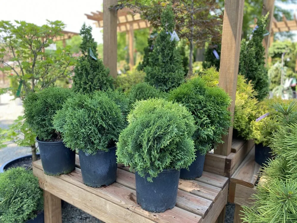 Reliable outdoor landscaping for beautiful yards across Byron Center, MI - Everett's Gardens