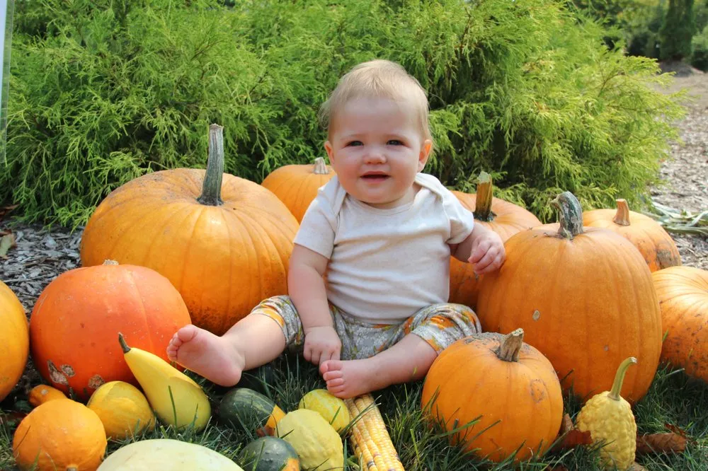 Trusted landscape installation experts serving Byron Center, MI - Everett's Gardens