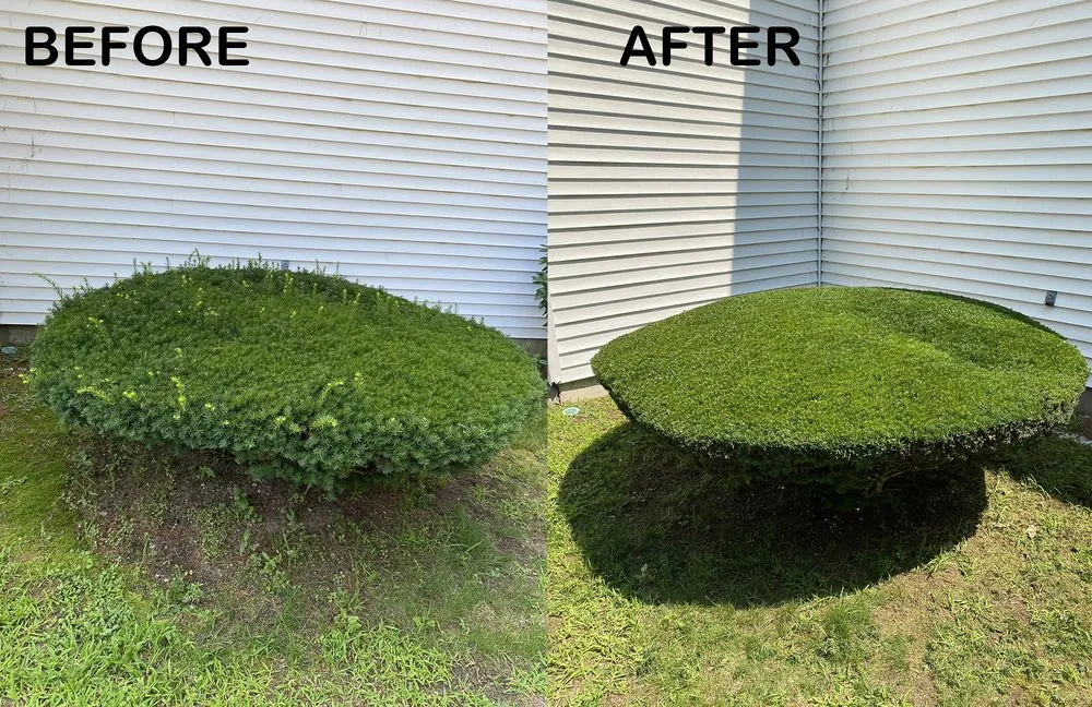 Reliable garden landscaping in Salem, NH by Everett's Lawn and Snow