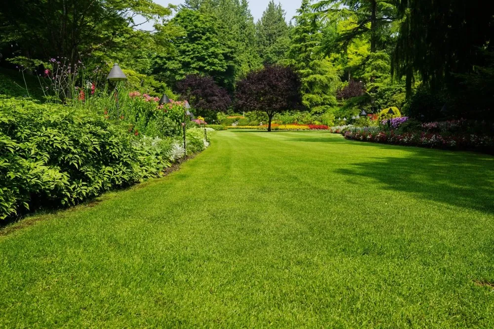 Local yard cleanup service in Fowler, IL by Everetts lawn care