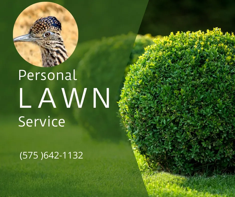 Local lawn care service in Las Cruces, NM - Everflowers