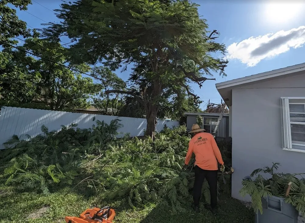 Trusted yard maintenance experts serving Davie, FL - Everglades Lawn and Landscaping