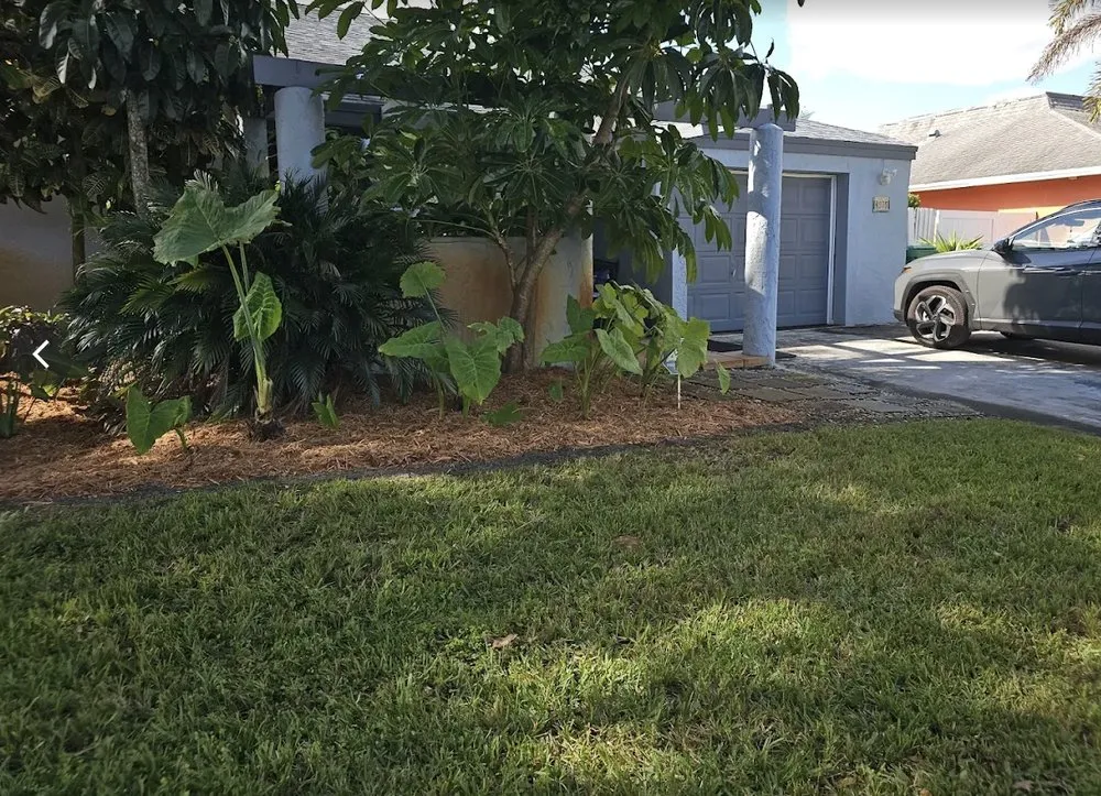 Trusted yard maintenance experts serving Davie, FL - Everglades Lawn and Landscaping