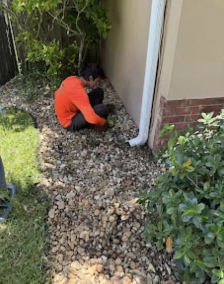 Reliable lawn care service in Davie, FL by Everglades Lawn and Landscaping