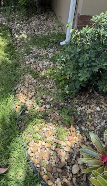 Expert lawn care service in Davie, FL by Everglades Lawn and Landscaping