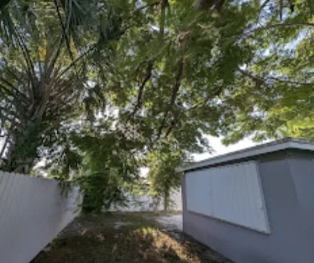 Local lawn care service experts serving Davie, FL - Everglades Lawn and Landscaping