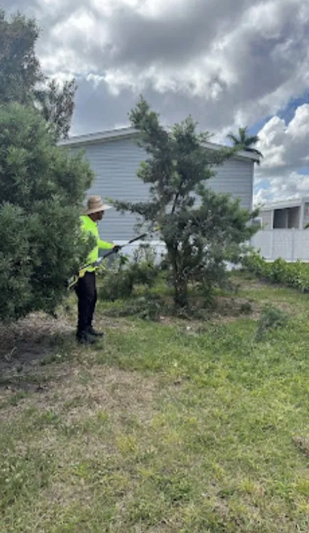 Reliable yard cleanup service experts serving Davie, FL - Everglades Lawn and Landscaping