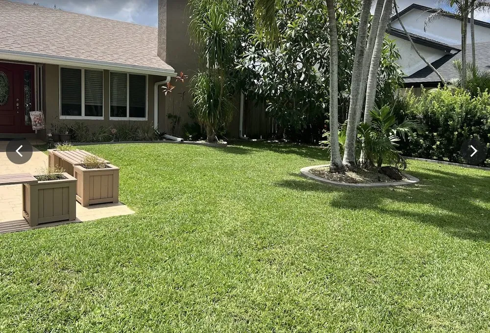 Affordable yard cleanup service for beautiful yards in Davie, FL by Everglades Lawn and Landscaping