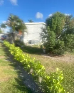 Custom landscape design near you in Davie, FL by Everglades Lawn and Landscaping