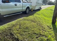 Custom residential landscaping experts serving Davie, FL - Everglades Lawn and Landscaping