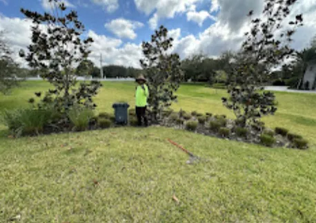 Expert landscape design with custom design in Davie, FL by Everglades Lawn and Landscaping