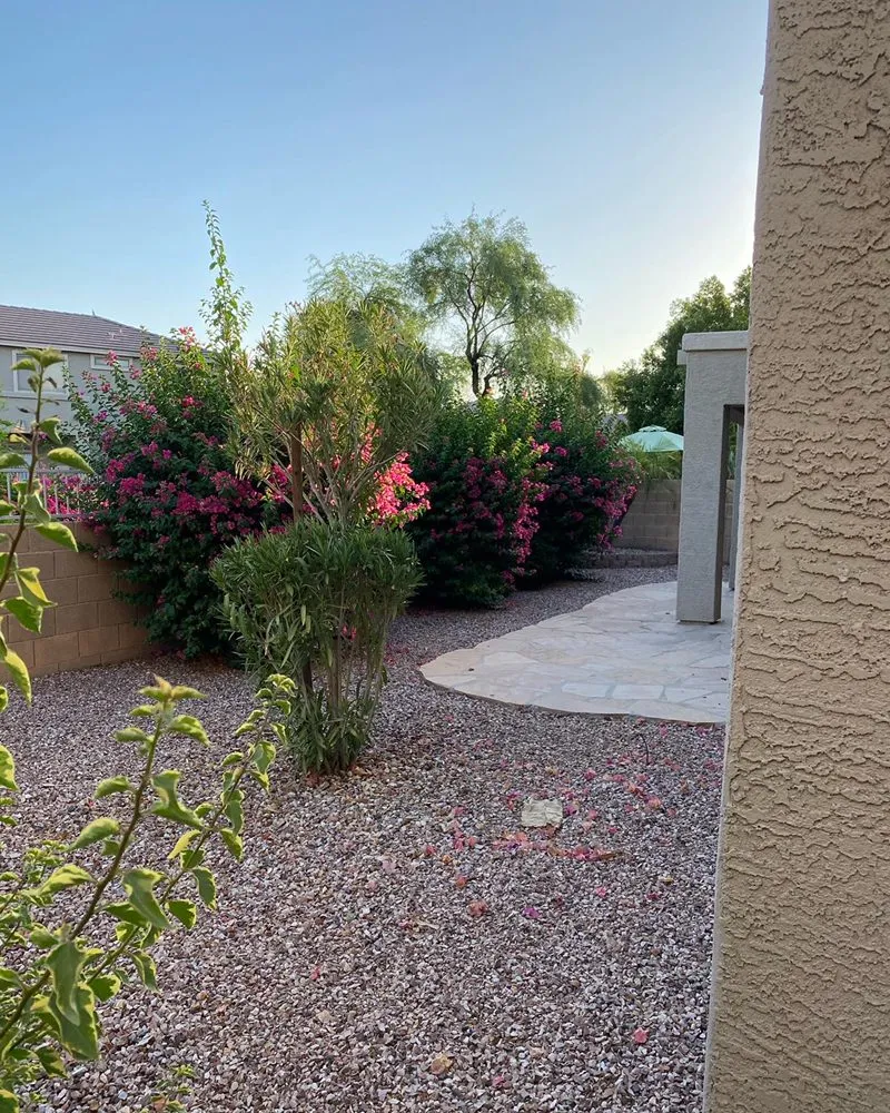 Custom yard maintenance in Phoenix, AZ - Evergrace landscape