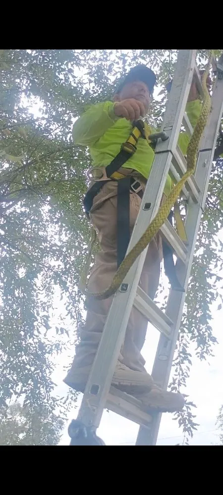 Trusted yard cleanup service in Orem, UT by Evergreen 25 Landscaping