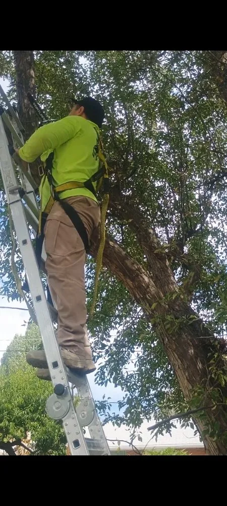 Expert landscape installation experts serving Orem, UT - Evergreen 25 Landscaping