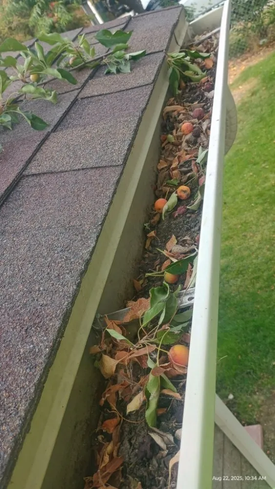 Professional lawn care service in Orem, UT by Evergreen 25 Landscaping