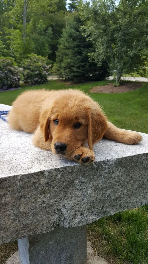 Top-rated landscaping services in Campton, NH - Evergreen Acres