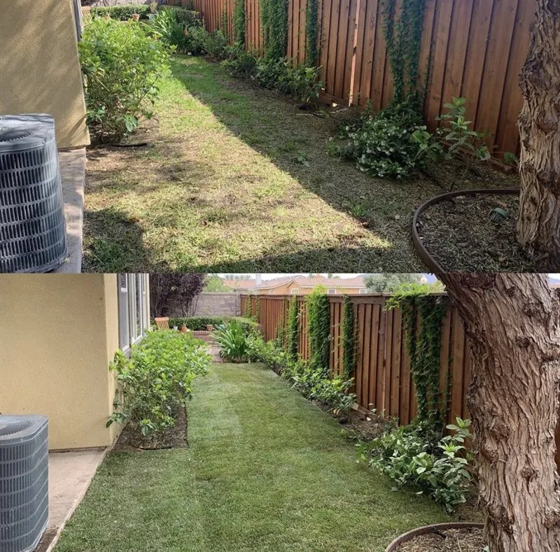 Affordable landscaping services experts serving Chula Vista, CA - Evergreen Arbor & Landscape