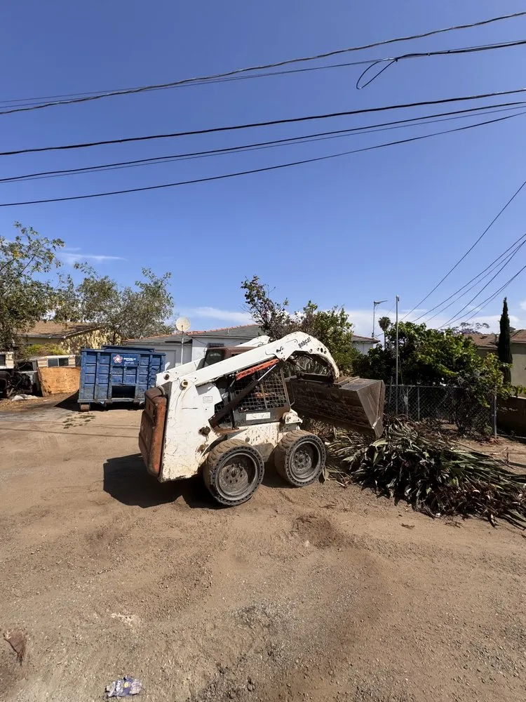 Affordable landscape design in Chula Vista, CA - Evergreen Arbor & Landscape