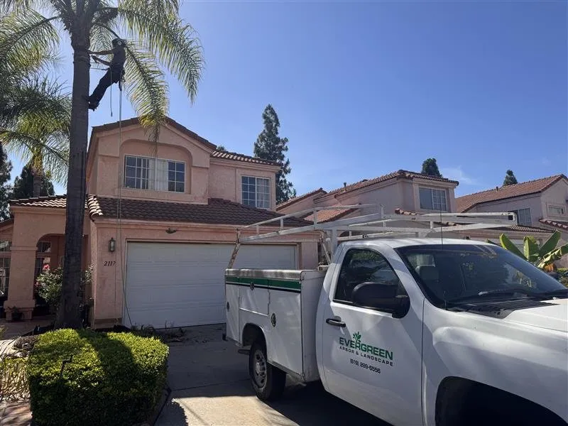 Professional landscaping services in Chula Vista, CA by Evergreen Arbor & Landscape