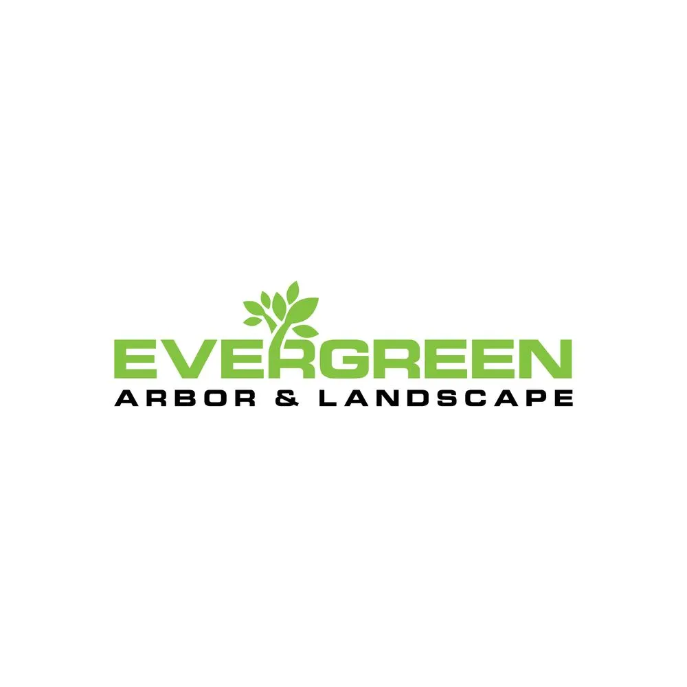 Custom outdoor landscaping experts serving Chula Vista, CA - Evergreen Arbor & Landscape