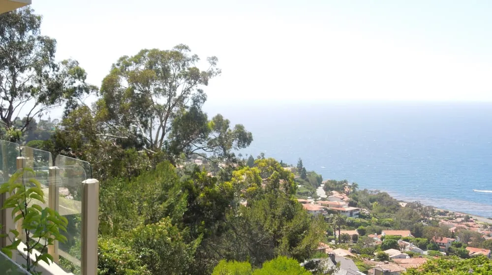 Professional outdoor landscaping in Los Angeles, CA - Evergreen Arborist Consultants