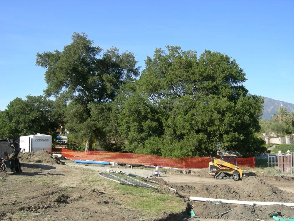 Trusted landscaping services for residential properties across Los Angeles, CA - Evergreen Arborist Consultants