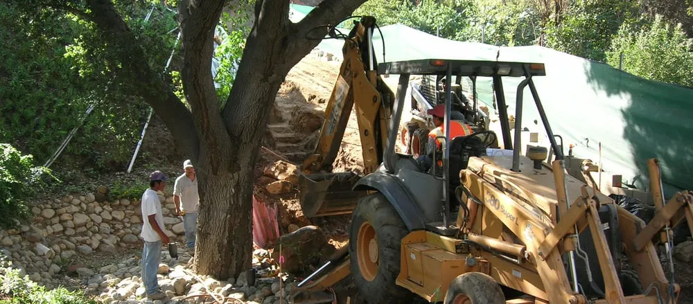 Expert outdoor landscaping experts serving Los Angeles, CA - Evergreen Arborist Consultants