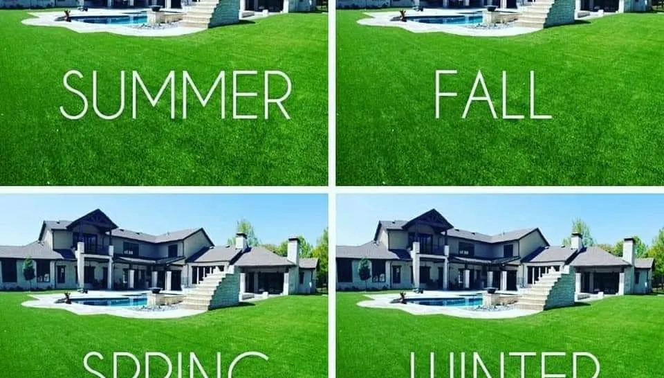 Expert lawn care service in Kenneth City, FL - Evergreen artificial grass