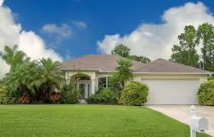 Top-rated yard cleanup service in Belleview, FL by Evergreen