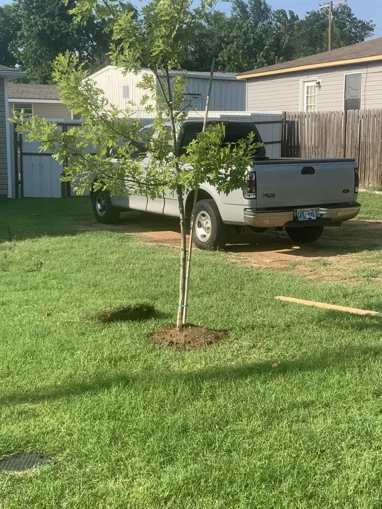 Affordable yard maintenance for residential properties in Fletcher, OK by Evergreen Custom Landscaping