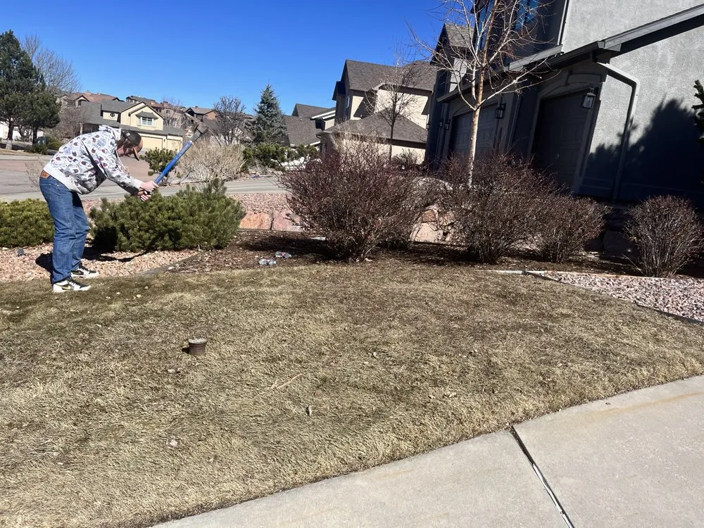Expert yard cleanup service for beautiful yards in Colorado Springs, CO by Evergreen Ecoscape and Design