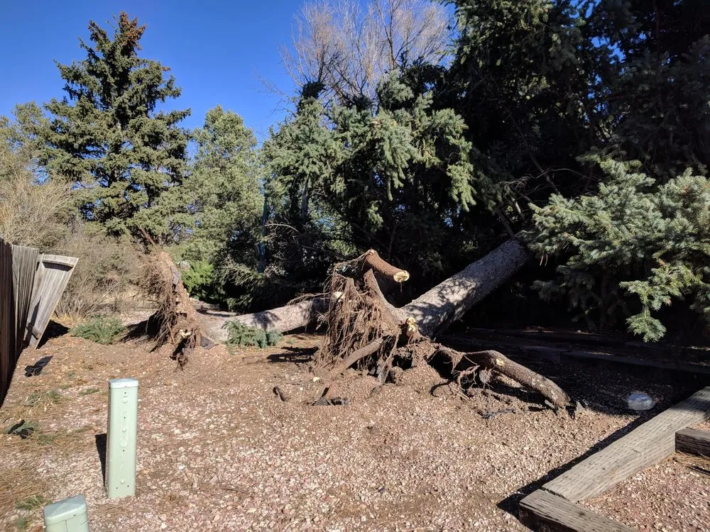 Trusted yard maintenance in Colorado Springs, CO by Evergreen Ecoscape and Design