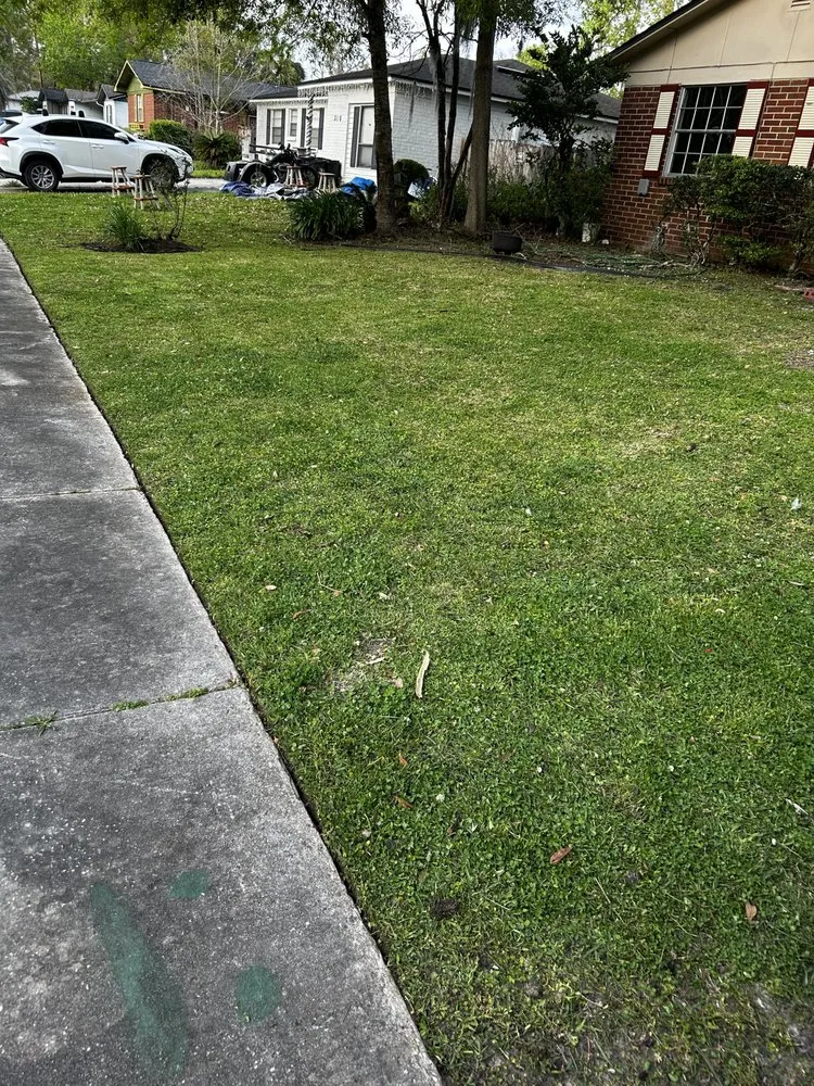 Professional landscape design in Orange Park, FL by Evergreen Edge Lawn Care