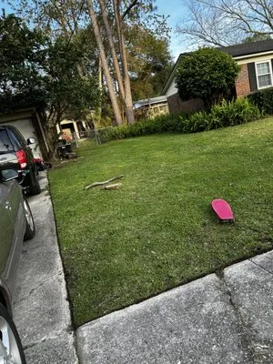 Evergreen Edge Lawn Care Logo