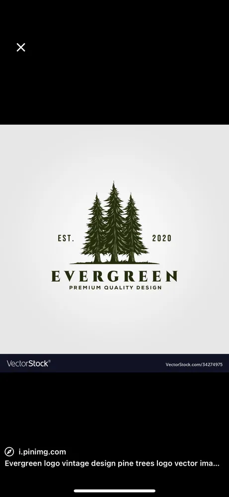 Affordable yard maintenance experts serving Leesburg, FL - Evergreen Elite Landscaping