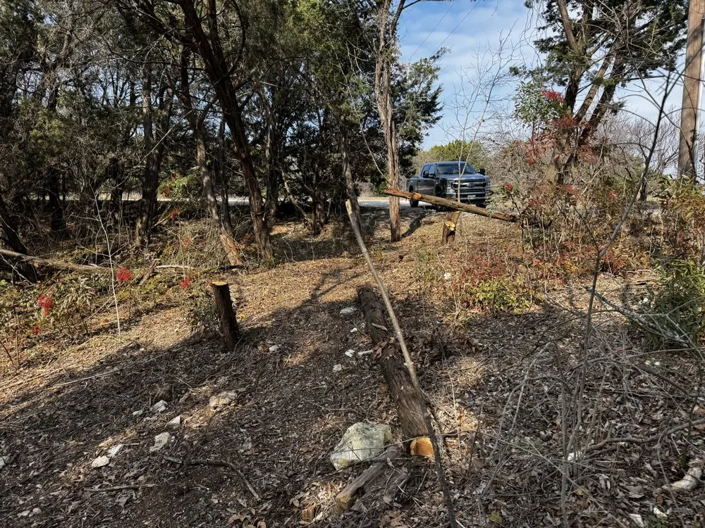 Affordable yard maintenance experts serving Waco, TX - Evergreen Enterprises