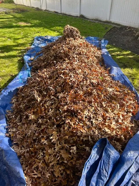 Reliable yard maintenance experts serving Farmingdale, NY - Evergreen Estates Landscape