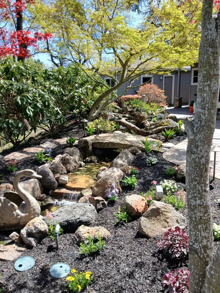 Local residential landscaping in Antioch, CA - Evergreen Garden Company