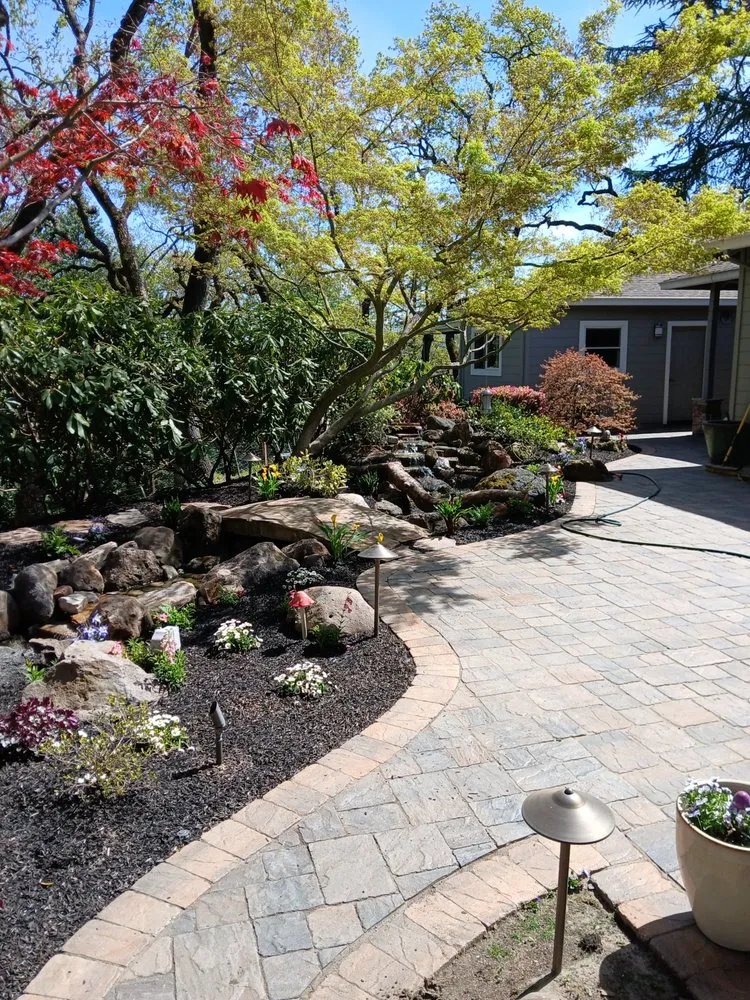Top-rated yard cleanup service for beautiful yards in Antioch, CA by Evergreen Garden Company