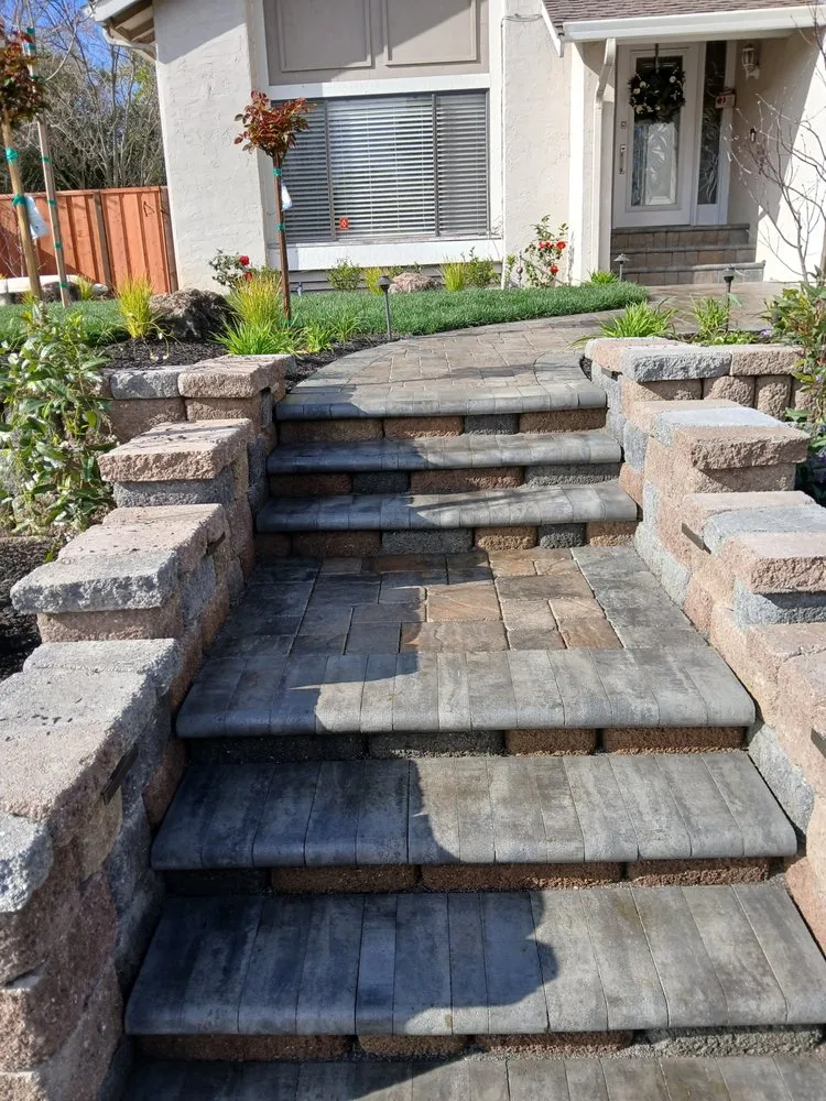 Custom lawn care service in Antioch, CA - Evergreen Garden Company