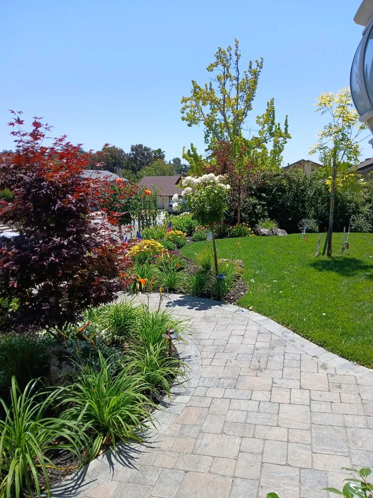 Custom landscaping services near you across Antioch, CA - Evergreen Garden Company
