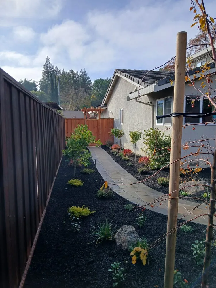 Trusted yard cleanup service in Antioch, CA by Evergreen Garden Company